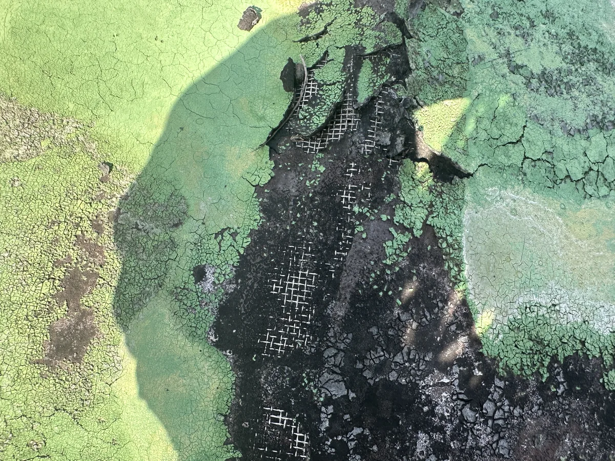 防水層の浮き・剥がれ