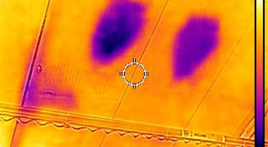 女性スタッフが色見本を使ってご案内する様子