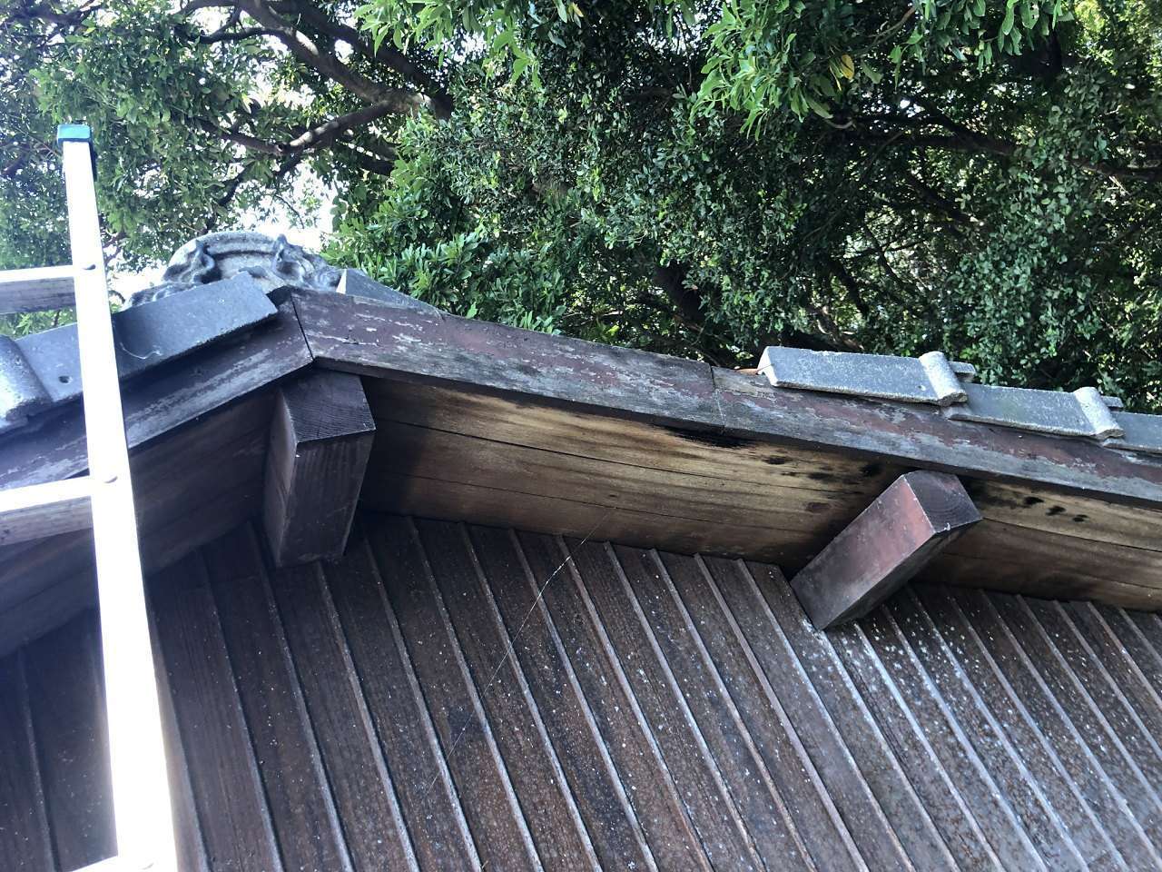 北九州市小倉北区 屋根瓦補修・雨漏り調査・火災保険対応工事 施工写真5